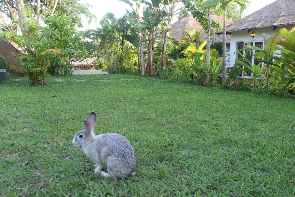 Blue Sea Boutique Hotel Sihanoukville Dış mekan fotoğraf